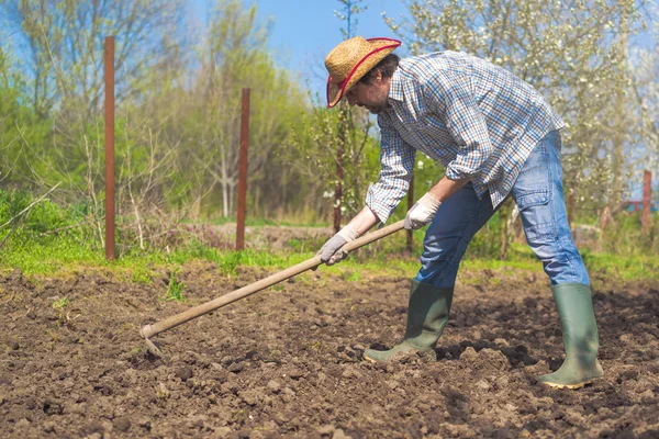 Человек мотыга овощной сад почвы — стоковое фото
