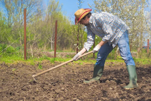 depositphotos_106723144-stock-photo-man-hoeing-vegetable-garden-soil.jpg
