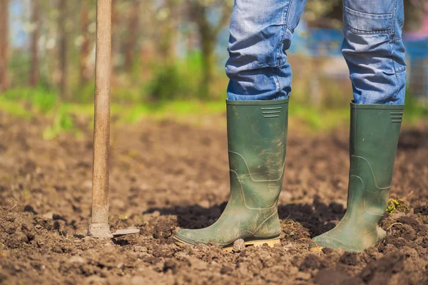 Hombre Hoeing Suelo de jardín vegetal — Foto de Stock