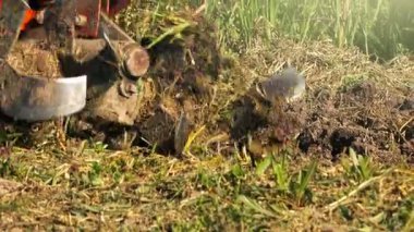 bahçede çalışan çiftçi