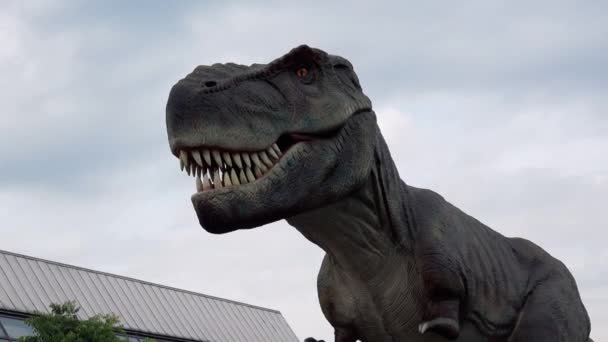 Модель тираннозавра в натуральную величину — стоковое видео