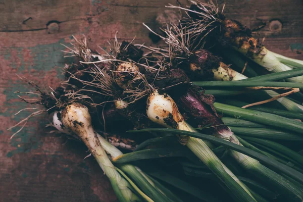 Freshly picked spring onion on table — Stock Photo, Image