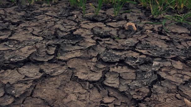 4 cenas de controle deslizante de zorra k da seca do solo, terra seca mudcracks — Vídeo de Stock