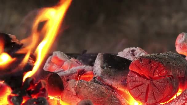 Carbone e legna da ardere bruciano in una griglia — Video Stock