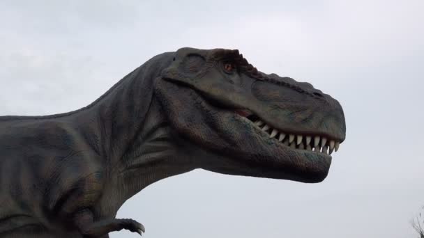 Tyrannosaurus rex lebensgroßes Modell im Vergnügungspark — Stockvideo