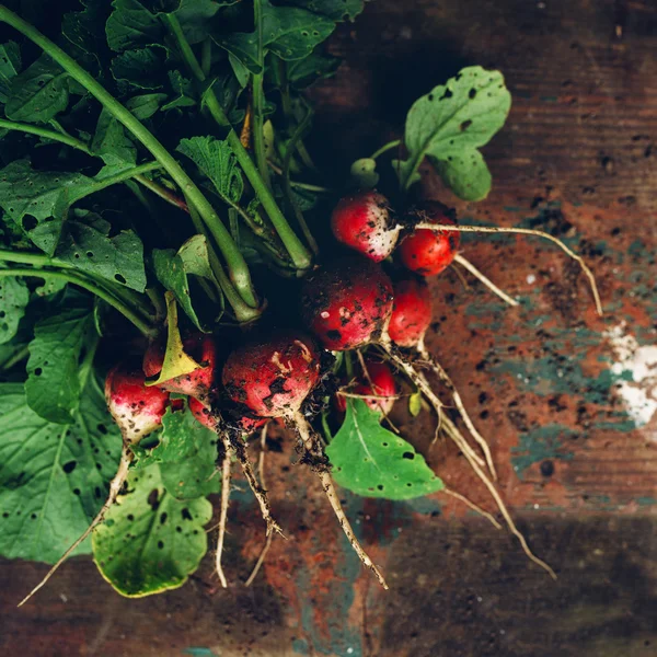 Freshly picked organic red radishes on wooden table — Stock Photo, Image