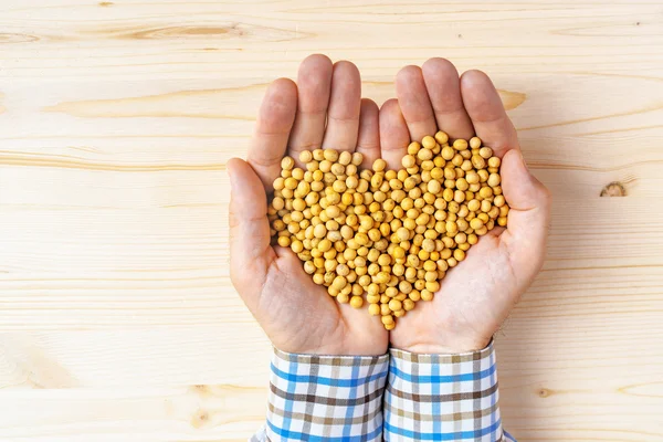 심장-모양의 수확된 콩 더미, 평면도의 소수 — 스톡 사진