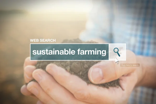 Sustainable farming web search bar glossary term — Stock Photo, Image