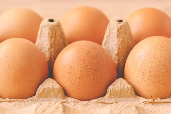 Seis huevos de pollo en caja de cartón — Foto de Stock