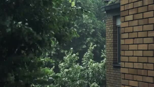 Chuveiros de chuva pesada na tarde de verão — Vídeo de Stock