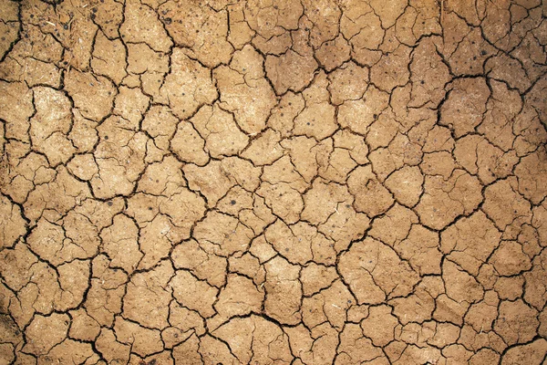 Mud cracks in dry earth texture — Stock Photo, Image