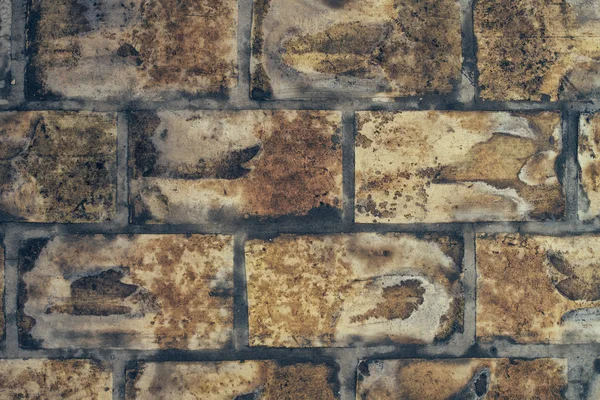 Pavimenti in mattoni rustici — Foto Stock