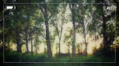 Amatör ev video koleksiyonu döngü kameranın vizör dizileri