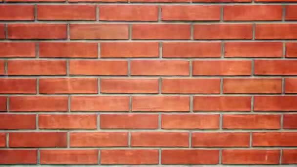 Animación de pared de ladrillo — Vídeo de stock