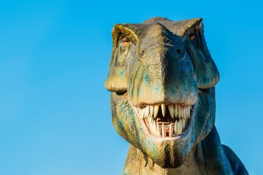 Tyrannosaurus Novi Sad Dino Park