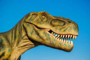 Tyrannosaurus Novi Sad Dino Park