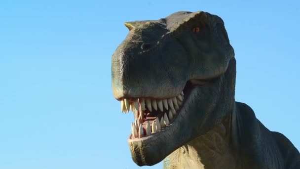 Tyrannosaurus im neuen traurigen Dinopark — Stockvideo