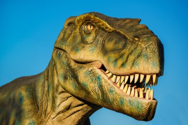 Tyrannosaurus Novi Sad Dino Park
