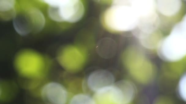 Rayonnement de soleil, fond abstrait 