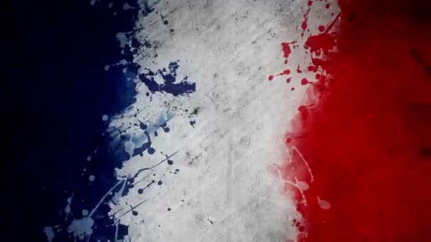 France Animation du drapeau — Video