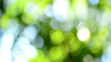 Parlak ışık yeşil bokeh arka plan