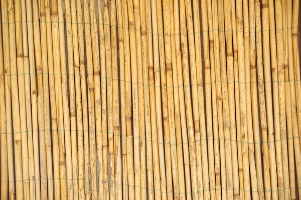 Dry reed straws fence as texture or background — Stock Photo, Image