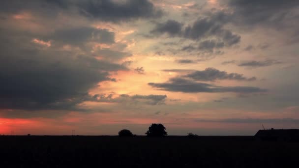 Проїзд по сільській місцевості ввечері, вид збоку — стокове відео