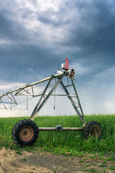 Riego en campo de colza oleaginosa en día lluvioso — Foto de Stock