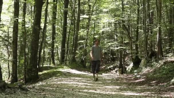 Чоловік ходить по гірській лісовій стежці — стокове відео