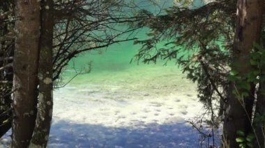 Temiz su Bohinj Gölü, Slovenya