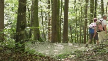 Dağ yürüyüşçüler Triglav Ulusal parkta yürüyüş grubu