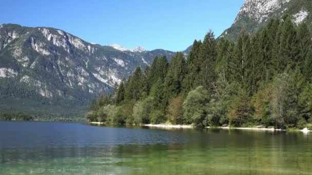 Hermosa escena matutina de verano desde el lago Bohinj en Eslovenia — Vídeo de stock
