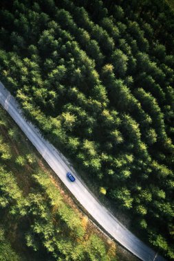 Sırbistan 'ın Zlatibor kentinde ormandan geçen tek bir mavi arabanın üst görüntüsü. İHA pov 'dan hava görüntüsü.