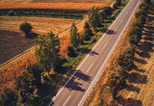 Aerial View Empty Road Rural Countryside Landscape Summer Trees Both — Stock Photo, Image