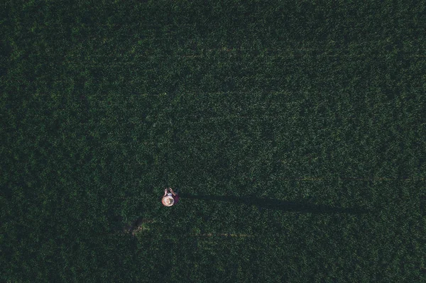 Wheat Farmer Using Drone Remote Controller Wheatgrass Field Aerial View — Stock Photo, Image