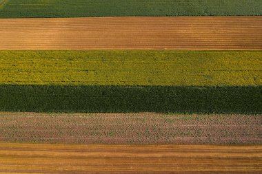 Drone Pov 'dan kırsal kesime kadar tarımsal tarım alanlarının havadan görünüşü, arka plan olarak soyut kırsal tarım arazisi yaması, üst görünüm
