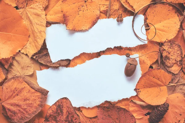 秋季创意季节的布局 以空白便条纸为复制空间 堆放干叶 顶视图平铺 — 图库照片