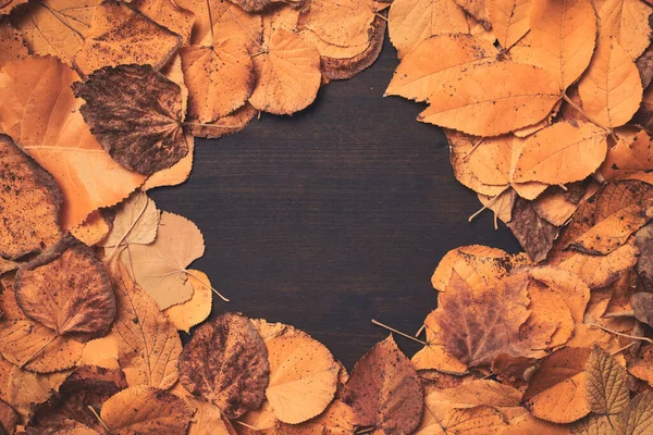 Creatieve Herfst Droge Bladeren Achtergrond Met Kopieerruimte Platte Lay Bovenaanzicht — Stockfoto