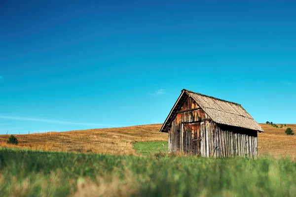 Traditioneel Houten Huisje Het Zuidwesten Van Servië Berg Zlatibor Vroege — Stockfoto