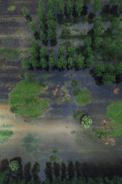 Flooded plain countryside landscape and river from drone pov. Tamis river in Vojvodina province, Serbia.