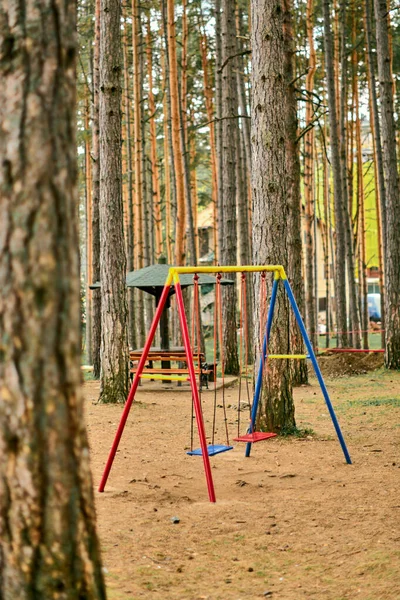 Üres Hinta Fenyőfa Parkban Ősszel — Stock Fotó