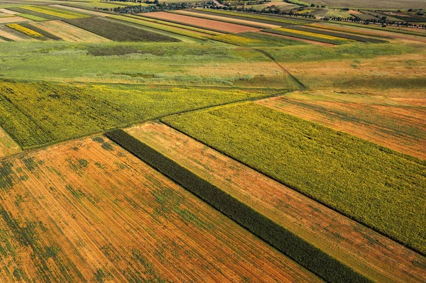 Flygfoto Odlade Jordbruksfält Från Drönare Pov — Stockfoto