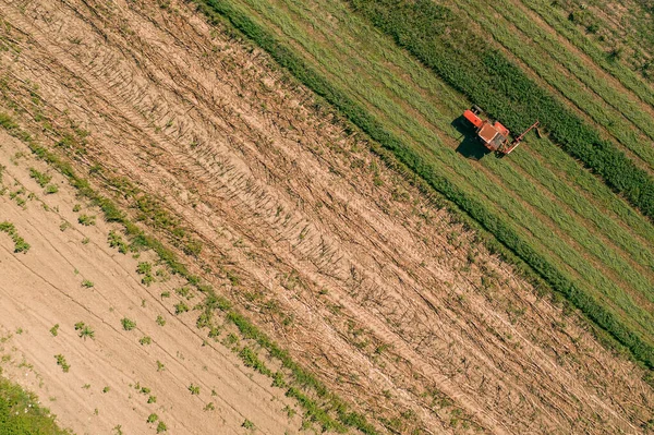 Vista Aérea Del Tractor Agrícola Cosechando Cultivos Alfalfa Vista Superior —  Fotos de Stock