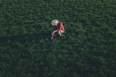 Buğday çiftçisi ekin gelişimini analiz ediyor, yetişkin erkek tarım işçisi buğday çimi tarlasını kontrol ediyor, hava manzarası...