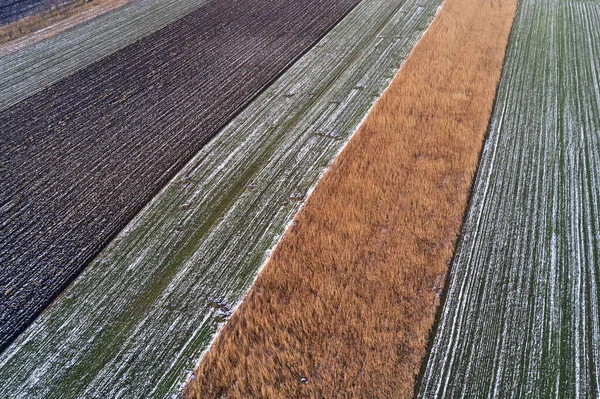 Campo Agrícola Cultivado Congelado Invierno Desde Arriba Vista Aérea Fotografía —  Fotos de Stock