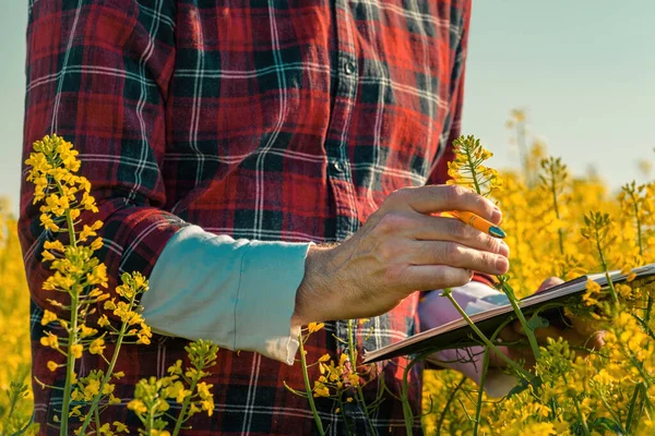 Rapsbauer Schreibt Notizen Auf Klemmbrett Notizblock Blühenden Feld Landwirt Führt — Stockfoto