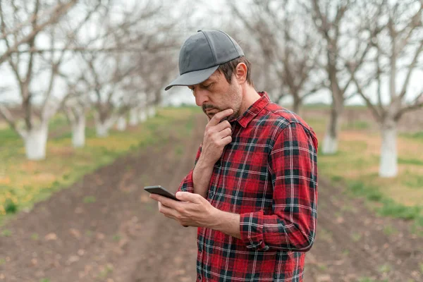 Agricultor Usando Aplicación Teléfono Inteligente Móvil Huerto Frutas Nuez Agricultura —  Fotos de Stock