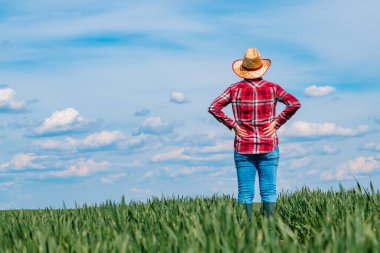 Yeşil buğday tarlasında duran kadın çiftçi. Elleri kalçasında, dikiz aynasından seçici bir odak noktası var.