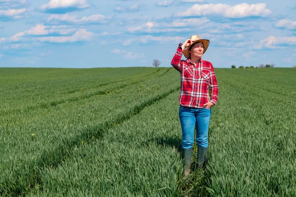 Zemědělka Zemědělkyně Stojící Poli Mladé Zelené Pšenice Selektivní Zaměření — Stock fotografie