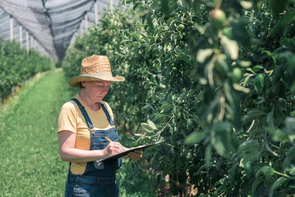Female farmer writing production notes in apple fruit orchard, woman farm worker with straw hat and bib overalls jeans examining plantation and writing reminder comments in notepad